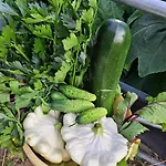 Osada Farm stay