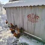 Farm stay Osada