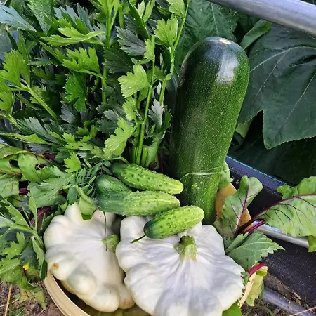 Camilleri Gospodarstwo agroturystyczne