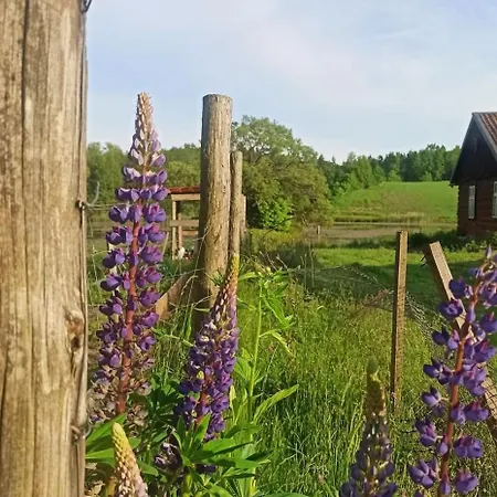 Camilleri ファームステイ *