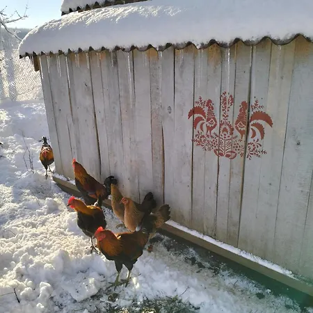 Gospodarstwo agroturystyczne Camilleri