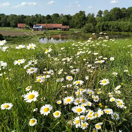 Gospodarstwo agroturystyczne Camilleri Mlynary