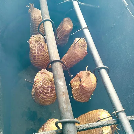 Gospodarstwo agroturystyczne Camilleri Mlynary