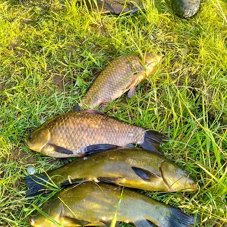 Gospodarstwo agroturystyczne Camilleri